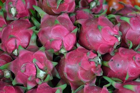 Incredible taste and strange aspect of this famous tropical fruit  You cannot leave without trying it の写真素材