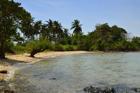 Quiet, cosy and small golden beach on one side of Rabbit Island, close to Kep, at Cambodia  One paradise for enjoy yourself  の写真素材