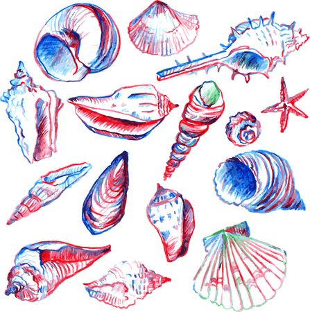 set of line drawing shells, hand drawn vector illustrationのイラスト素材