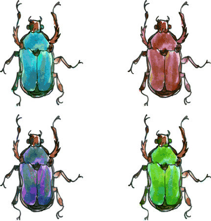 four isolated vector beetles in different colors drawing by watercolor,green beetle,blue beetle, brown beetle, violet beetle, hand drawn vector illustrationのイラスト素材
