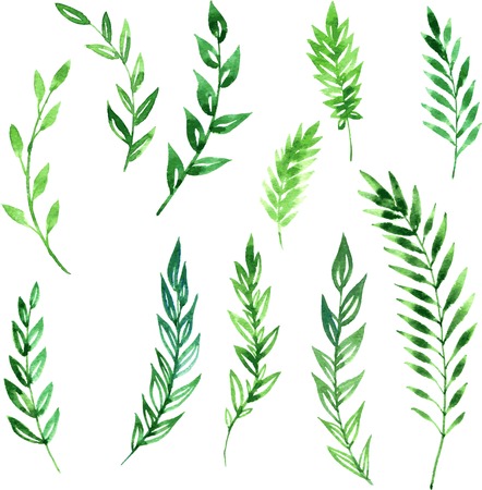 set of abstract branches with green leaves drawing by watercolor, hand drawn vector elementsのイラスト素材