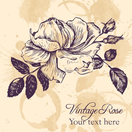 vintage vector floral card, hand drawn vector illustrationのイラスト素材