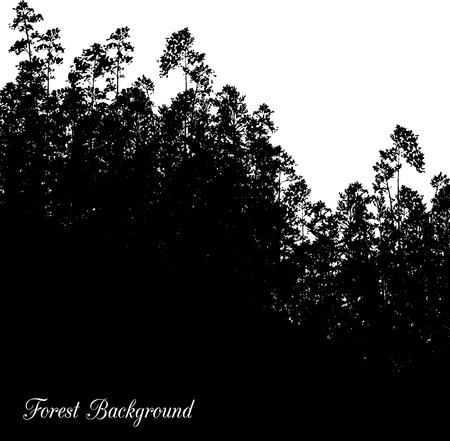 landscape with pine trees, hand drawn vector illustrationのイラスト素材
