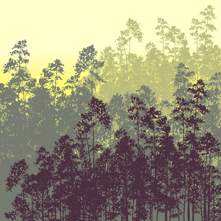 landscape with pine trees, hand drawn vector illustrationのイラスト素材