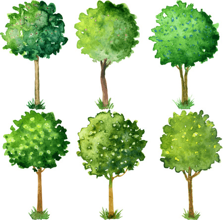 Six flowering trees trimmed in the shape of a ball, set of painted watercolor trees with green leaves and flowers, hand drawn vector illustrationのイラスト素材
