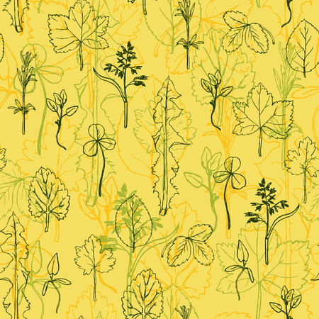 Seamless pattern with hand drawing herbs and leaves,  hand drawn vector floral backgroundのイラスト素材