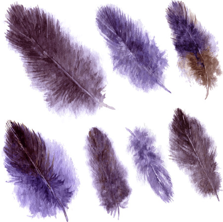 set of purple fluffy plumes, watercolor drawing feathers at white background, hand drawn vector illustrationのイラスト素材