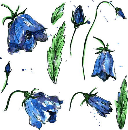 set of blue bellflowers, drawn by watercolor, isolated blue flowers, buds and leaves of campanula, hand drawn floral design elementsのイラスト素材