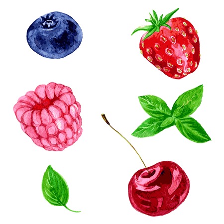 set of different berries, raspberry,cherry,blueberry, strawberry and leaves of mint,drawing by watercolor,hand drawn vector illustrationのイラスト素材
