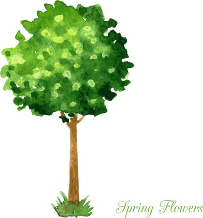 Watercolor hand painted card with flowering green tree, hand drawn vector illustrationのイラスト素材