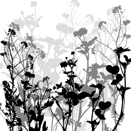 Silhouette of herbs and flowers, hand drawn vector illustrationのイラスト素材