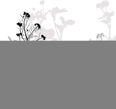 Silhouette of herbs and flowers, hand drawn vector illustrationのイラスト素材