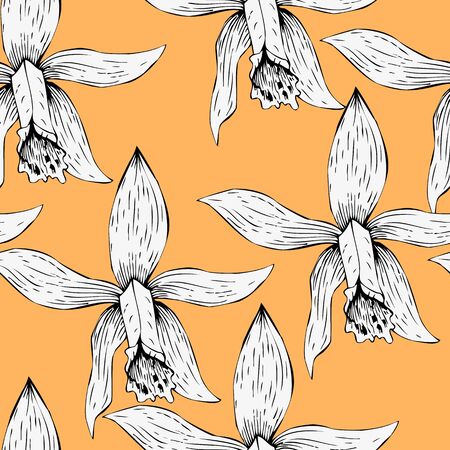 Seamless pattern with  line drawing orchids, hand drawn vector illustrationのイラスト素材