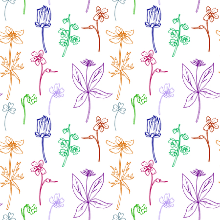 Seamless pattern with line drawing herbs, hand drawn vector illustrationのイラスト素材