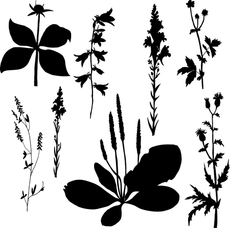 set of silhouettes  by flowers and grass, vector illustrationのイラスト素材