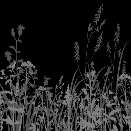 Silhouettes  of flowers and grass at night, vector illustrationのイラスト素材