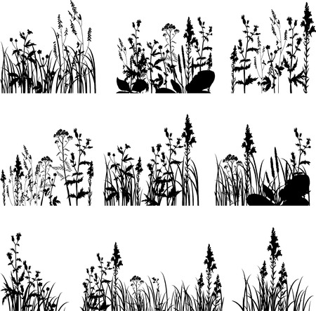 Set of silhouettes  of flowers and grass, vector illustrationのイラスト素材