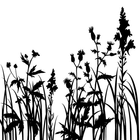 Silhouettes  of flowers and grass, vector illustrationのイラスト素材