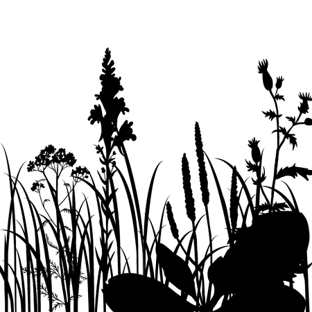 Silhouettes  of flowers and grass, vector illustrationのイラスト素材