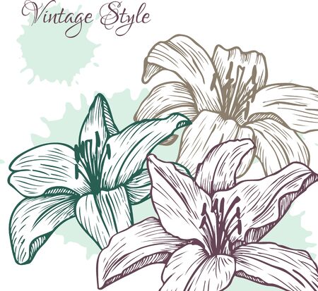 vintage floral card with lilies, hand drawn vector illustrationのイラスト素材