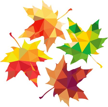 Triangle polygonal silhouette of maple leaves,  vector illustrationのイラスト素材