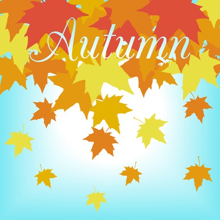 abstract background with leaves of maple, vector illustrationのイラスト素材