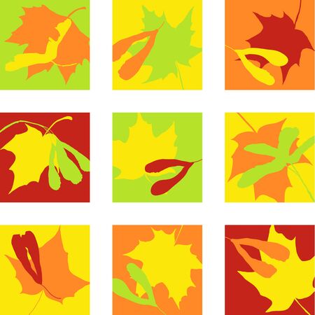 set of icons with seeds and leaves of maple, vector illustrationのイラスト素材
