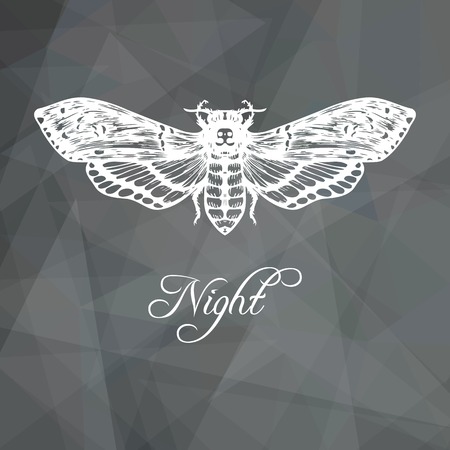 Abstract geometric gray background with butterfly, vector illustrationのイラスト素材