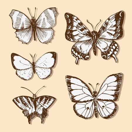 set of butterflies, ink drawing, vector illustrationのイラスト素材