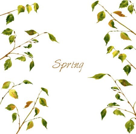 hand drawn composition with birch branches drawing by watercolor, hand drawn design elementのイラスト素材