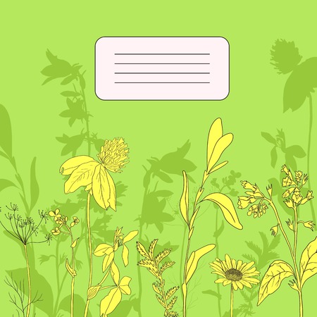 herbal card , vector illustrationのイラスト素材