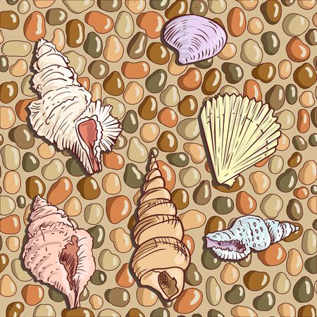 Seashells on the seashore, hand drawn vector illustrationのイラスト素材