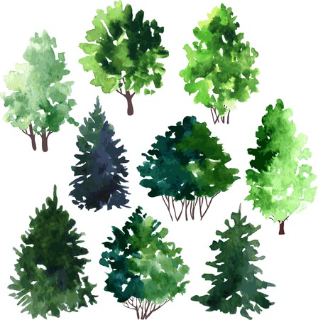 set of trees drawing by watercolor, hand drawn vector illustrationのイラスト素材