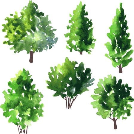 set of different deciduous trees, vector illustrationのイラスト素材