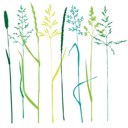 Set of grass silhouettes,isolated hand drawn wild cereals, vector illustrationのイラスト素材