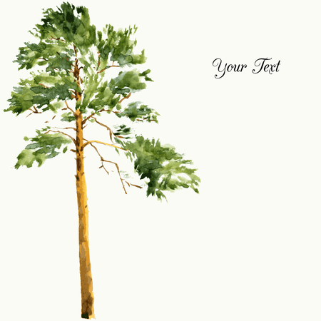 high pine tree at sunny day drawing by watercolor, aquarelle sketch of wild nature, painting forest, hand drawn vector illustrationのイラスト素材