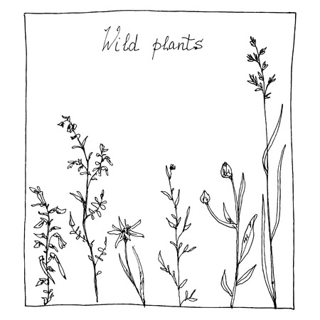 floral composition with ink drawing herbs and flowers in the square, doodle wild plants, monochrome black line drawing floral card, hand drawn vector illustrationのイラスト素材