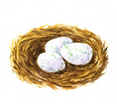 watercolor drawing nest with eggs, hand drawn artistic painting illustration, symbol of Easterの写真素材