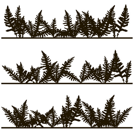 fern leaves silhouettes, vintage style botanical illustration,  monochrome drawing floral background, hand drawn vector illustrationのイラスト素材