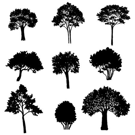 set of tree silhouettes, deciduous trees and bushes, hand drawn vector design elementsのイラスト素材