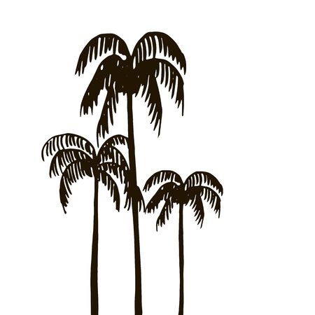 tropical forest, rain forest, jungle, vintage template, palm tree silhouettes at white background, exotic trees, hand drawn vector illustrationのイラスト素材