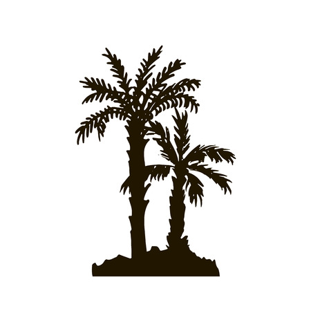 tropical forest, rain forest, jungle, vintage template, palm tree silhouettes at white background, exotic trees, hand drawn vector illustrationのイラスト素材