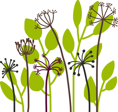 dill plants, floral composition with wild plants, drawing floral card, hand drawn vector illustrationのイラスト素材