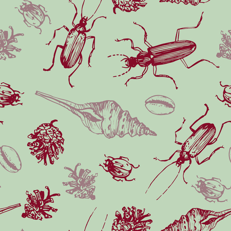 seamless pattern with shells, pine cones and beatles, hand drawn vector illustrationのイラスト素材