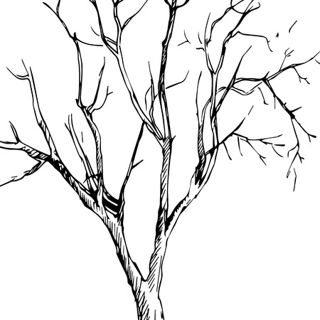 Vector ink drawing tree, hand drawn vector illustrationのイラスト素材
