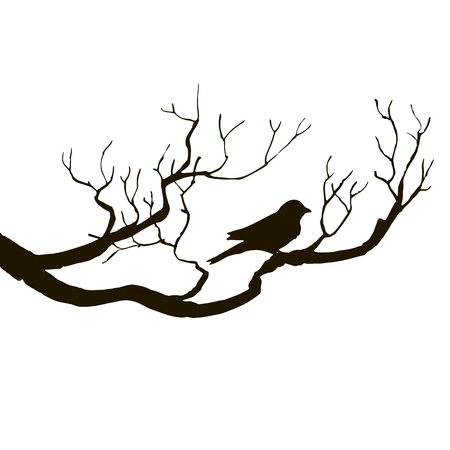 vector silhouettes of bird at tree, hand drawn songbird at branch, isolated vector elementのイラスト素材