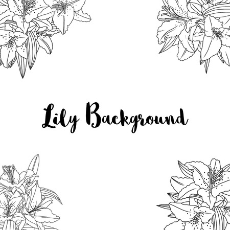 vector background with  line drawing lily flowers and leaves, hand drawn vector illustrationのイラスト素材