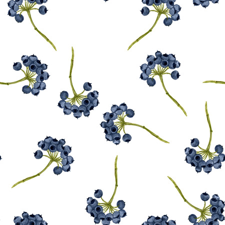 seamless pattern with watercolor drawing blue berries, botanical illustration in vintage style, color drawing floral ornament, hand drawn illustrationの写真素材