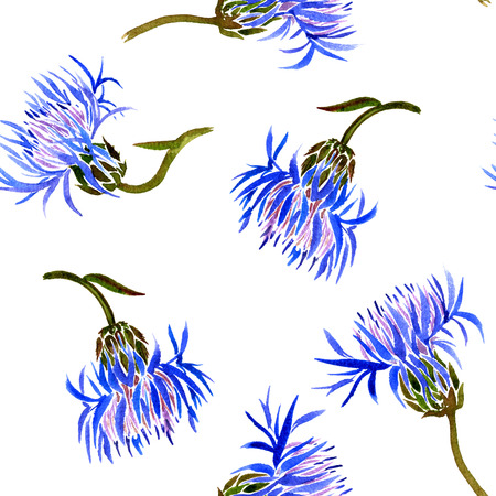 Seamless pattern with watercolor drawing wild cornflowers, bckground with painted wild plants, botanical illustration in vintage style, color drawing floral ornament, hand drawn illustrationの写真素材