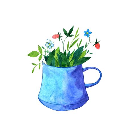 cup of tea with herbs, flowers and berries, drawing in watercolor,hand drawn illustrationの写真素材
